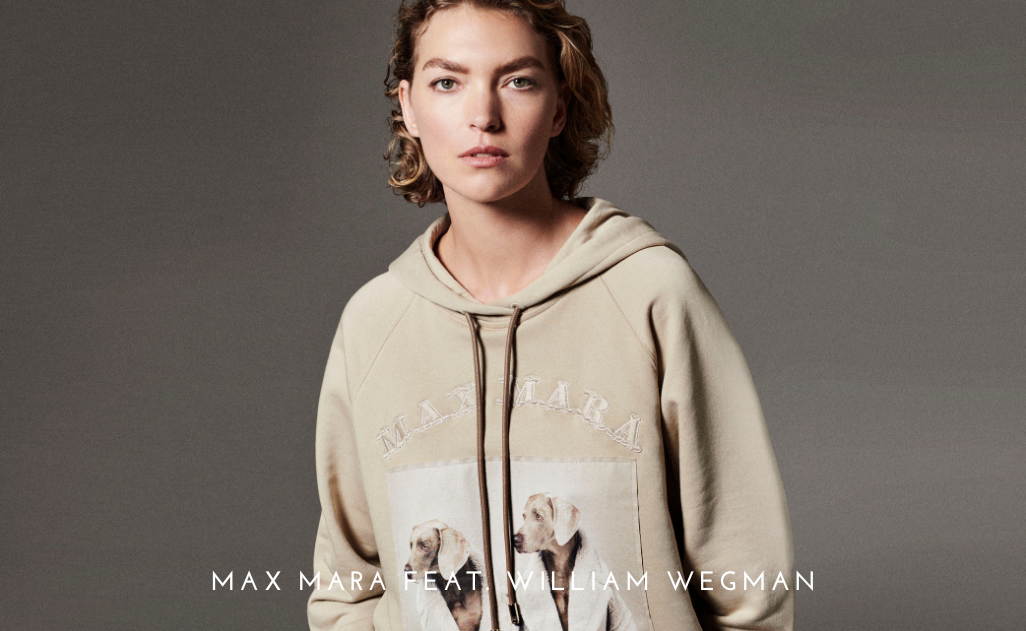, Max Mara T-shirts and Sweatshirts feat. William Wegman